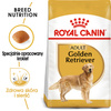 Royal Canin Breed Health Nutrition Adult Golden Retriever 2x12kg Sucha Karma Dla Psów