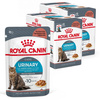 Royal Canin FCN Urinary Care w Sosie 24x85g Karma Mokra Dla Kotów Ochrona Dolnych Dróg Moczowych