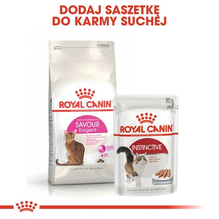 Royal Canin Exigent Savour Sensation 10kg Karma Sucha Dla Kotów Dorosłych Wybrednych Kierujących Się Teksturą Krokieta