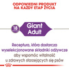 Royal Canin Giant Adult Karma Sucha Dla Psów Dorosłych Ras Olbrzymich 15kg