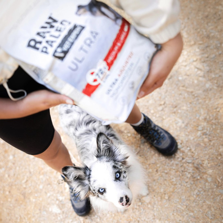 Raw Paleo Ultra Beef Medium & Large Puppy 10kg Sucha Karma z Wołowiną Dla Szczeniąt