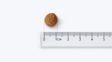 John Dog BERRY MAŁE / ŚREDNIE RASY wołowina z krylem 4x 3kg sucha karma dla psa