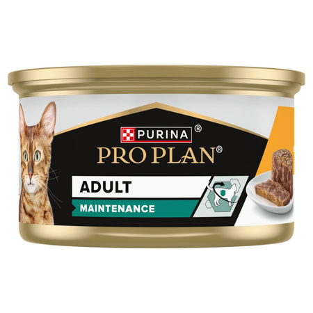 Purina Pro Plan Adult Maintenance 48x85g Mokra Karma Dla Kota Wilgotny Pasztet z Kurczakiem