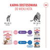 Royal Canin FHN Kitten Sterilised w Sosie i Galaretce 24x85g Karma Mokra Dla Kociąt Sterylizowanych Do 12 Miesiąca Życia