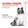 Royal Canin Supplements Dog Skin & Coat Adult 240g Przysmak Suplement dla Psa Na Skórę i Sierść