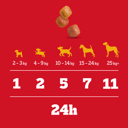 Pedigree Tasty Minis Chewy Cubes Z Kurczakiem 130g Przysmak dla psa