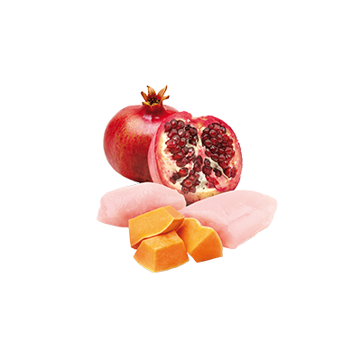 Farmina N&D Cat Chicken Pumpkin Pomegranate 70g Mokra Karma Dla Kota Kurczak z Dynią i Granatem