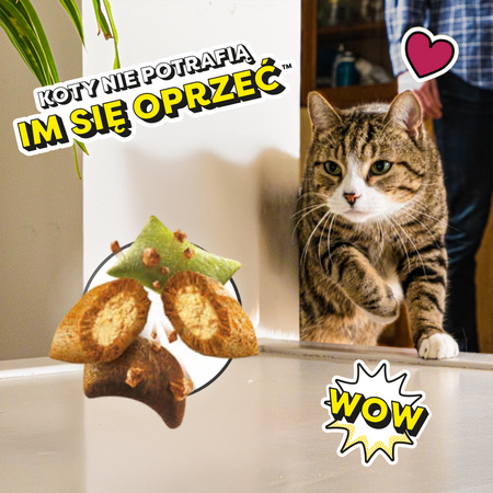 Dreamies Shake Ups Multivitamins 6x55g Przysmak Dla Kota z Owocami Morza o Smaku Łososia Tuńczyka i Krewetek