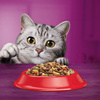 Whiskas Adult 2x14kg Sucha Karma Dla Kotów Z Wołowiną i Warzywami + GRATIS 40x85g Mix Smaków Mokra Karma w Galaretce