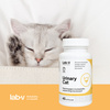 LAB-V Urinary Cat Suplement Dla Kotów 45 Kapsułek Wsparcie Układu Moczowego Redukcja Kamieni