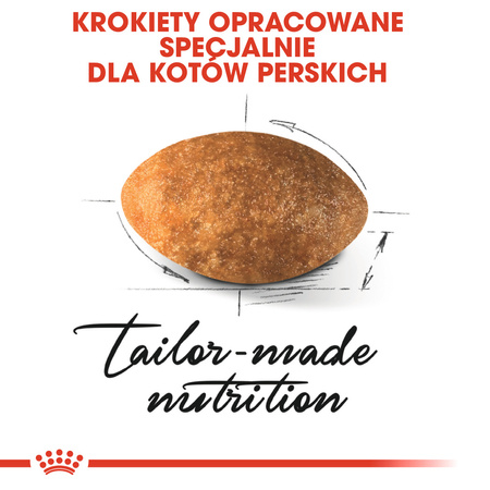Royal Canin FBN Persian Adult 10kg Karma Sucha Dla Kotów Dorosłych Rasy Pers