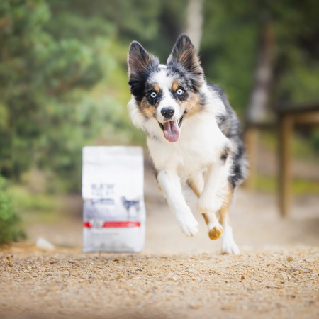Raw Paleo Ultra Beef Medium & Large Puppy 10kg Sucha Karma z Wołowiną Dla Szczeniąt