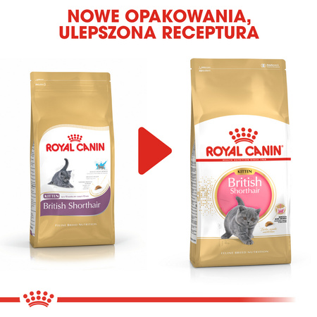 Royal Canin FBN British Shorthair Kitten 2kg Karma Sucha Dla Kociąt Do 12 Miesiąca Rasy Brytyjski Krótkowłosy