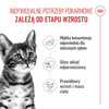 Royal Canin FHN Kitten Sterilised W Galaretce 24x85g Karma Mokra Dla Kociąt Sterylizowanych Do 12 Miesiąca Życia