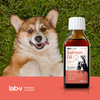 LAB-V Olej Z Łososia 100% Premium Dla Psa I Kota 100ml Na Skórę Sierść I Alergie