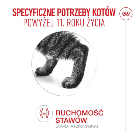 Royal Canin Ageing 11+ Karma Sucha 2kg Dla Kotów Dojrzałych Po 11 Roku Życia