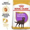 Royal Canin BHN Labrador Retriever Sterilised Adult 12kg Karma Sucha Dla Psów Dorosłych Rasy Labrador Retriever Sterylizowanych