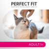 Perfect Fit Adult 1+ Sucha Karma Dla Kotów Dorosłych Z Wołowiną 7kg