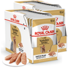 Royal Canin BHN Adult Yorkshire Terrier 24x85g Mokra Karma Pasztet Dla Psów Rasy York