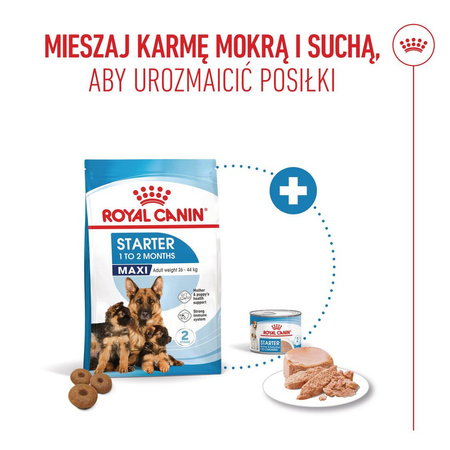 Royal Canin Maxi Starter Mother & Babydog 15kg Karma Sucha Dla Suk W Ciąży I Okresie Laktacji Oraz Szczeniąt Ras Dużych 