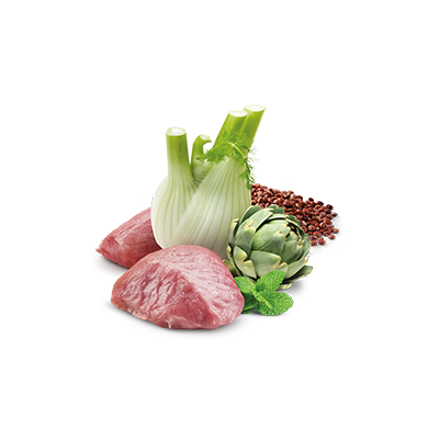 Farmina N&D Cat Quinoa Digestion 24x80g Mokra Karma Dla Kota Z Jagnięciną Na Trawienie
