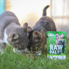 Vet Expert Raw Paleo Sterilised Game 100g Saszetka Karma Mokra z Dziczyzną Dla Kotów Sterylizowanych