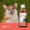 LAB-V Olej Z Łososia 100% Premium Dla Psa I Kota 250ml Na Skórę Sierść I Alergie