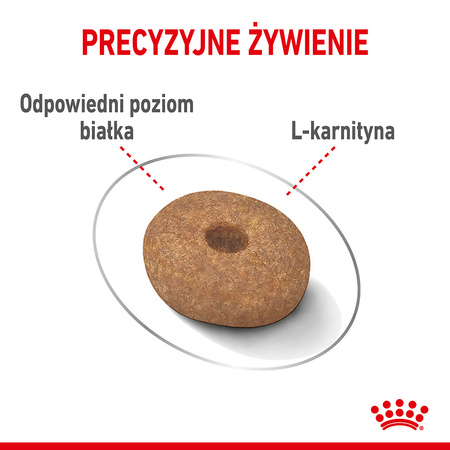 Royal Canin Mini Light Weight Care 3kg Karma Sucha Dla Psów Małych Ras Z Tendencją Do Nadwagi