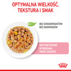 Royal Canin Kitten 85g Galaretka Mokra Dla Kociąt Do 12 Miesiąca Życia