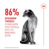 Royal Canin Exigent Fussy 2kg Karma Sucha Dla Kotów Dorosłych Wybrednych