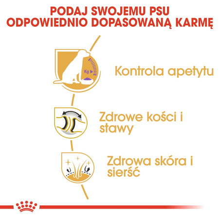 Royal Canin BHN Labrador Retriever Sterilised Adult 12kg Karma Sucha Dla Psów Dorosłych Rasy Labrador Retriever Sterylizowanych
