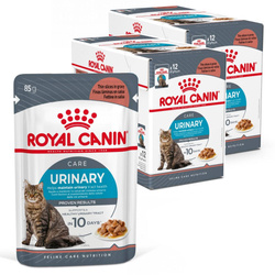 Royal Canin FCN Urinary Care w Sosie 24x85g Karma Mokra Dla Kotów Ochrona Dolnych Dróg Moczowych