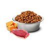 Farmina N&D Cat Pumpkin Duck & Cantaloupe 1,5kg Sucha Karma Dla Kota z Kaczką Dynią i Kantalupą