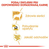 Royal Canin BHN Adult Yorkshire Terrier 24x85g Mokra Karma Pasztet Dla Psów Rasy York