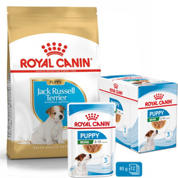 Royal Canin Puppy Jack Russell Terrier Sucha Karma Dla Szczeniąt 3kg + Mokra W Sosie 12x85g