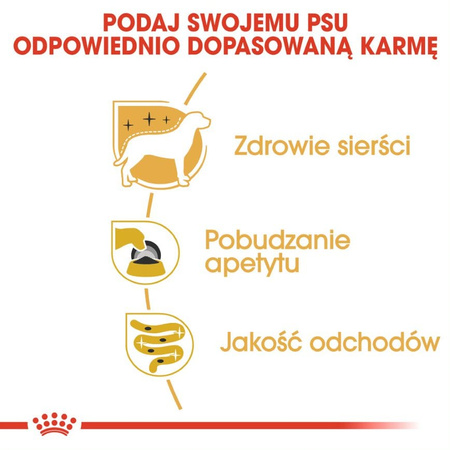 Royal Canin BHN Adult Yorkshire Terrier 85g Mokra Karma Pasztet Dla Psów Rasy York