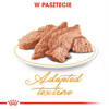 Royal Canin FBN Persian Adult 12x85g Karma Mokra Pasztet Dla Kotów Dorosłych Rasy Pers