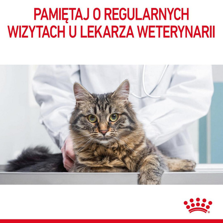 Royal Canin Hairball Care 24x85g Mokra Karma Dla Kotów Dorosłych w Sosie Eliminacja Kul Włosowych