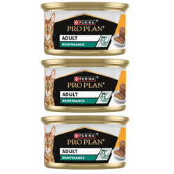 Purina Pro Plan Adult Maintenance 3x85g Mokra Karma Dla Kota Wilgotny Pasztet z Kurczakiem