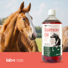 LAB-V Olej z Łososia Naturalny Suplement Dla Konia 1000ml Wsparcie Stawów Odporność Zdrowa Skóra