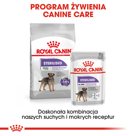 Royal Canin CCN Mini Sterilised 3kg Karma Sucha Dla Psów Dorosłych Ras Małych Sterylizowanych