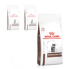 Royal Canin Veterinary Gastrointestinal 3x400g Sucha Karma Dla Kociąt Z Wrażliwym Układem Pokarmowym