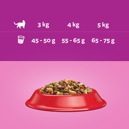 Whiskas Adult 3,8kg - Sucha Karma Pełnoporcjowa Dla Dorosłych Kotów Z Wołowiną