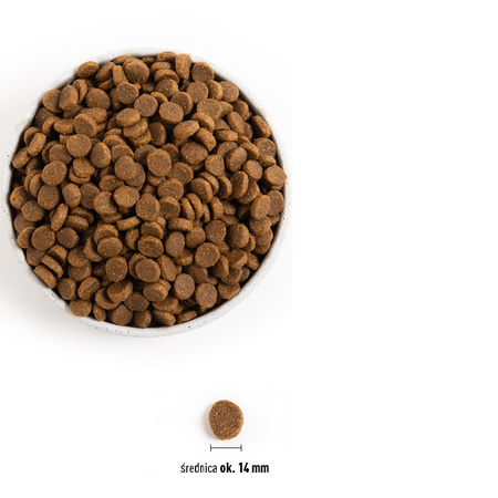 Acana Adult Dog Recipe 11,4kg Sucha Karma Dla Psa z Kurczakiem i Morszczukiem