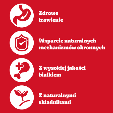 PEDIGREE Adult Puszka 12x 400g - Mokra Karma dla Psów z Wołowiną w Galaretce