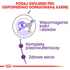 Royal Canin Giant Adult Karma Sucha Dla Psów Dorosłych Ras Olbrzymich 2x15kg