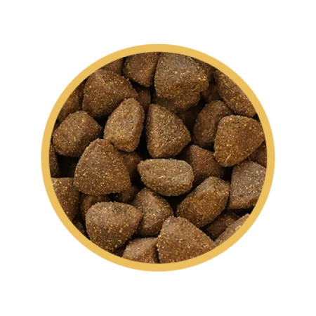 Biofeed Euphoria Fresh Turkey & Rabbit 2kg Sucha Karma Dla Dorosłych Psów Średnich I Dużych Ras Ze Świeżym Indykiem