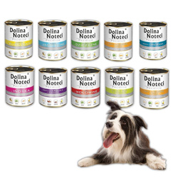 Dolina Noteci Premium Karma Dla Psa Mix Smaków 10x400g