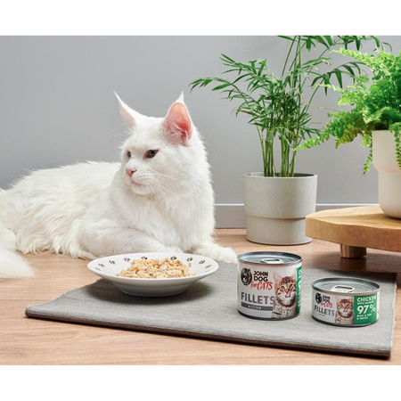 John Dog for Cats Mokra Karma Dla Kociąt Mix Smaków Filety Z Kurczaka I Z Łososia 24x70g