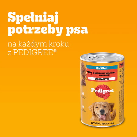 PEDIGREE Z Wołowiną 12x1200g W Galaretce Dla Dorosłych Psów Mokra Karma